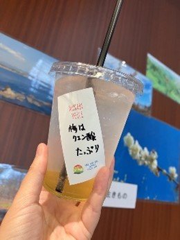 生命科学部 食農システム学研究室がイベント「五感でたのしむUME SYSTEM」を実施しました