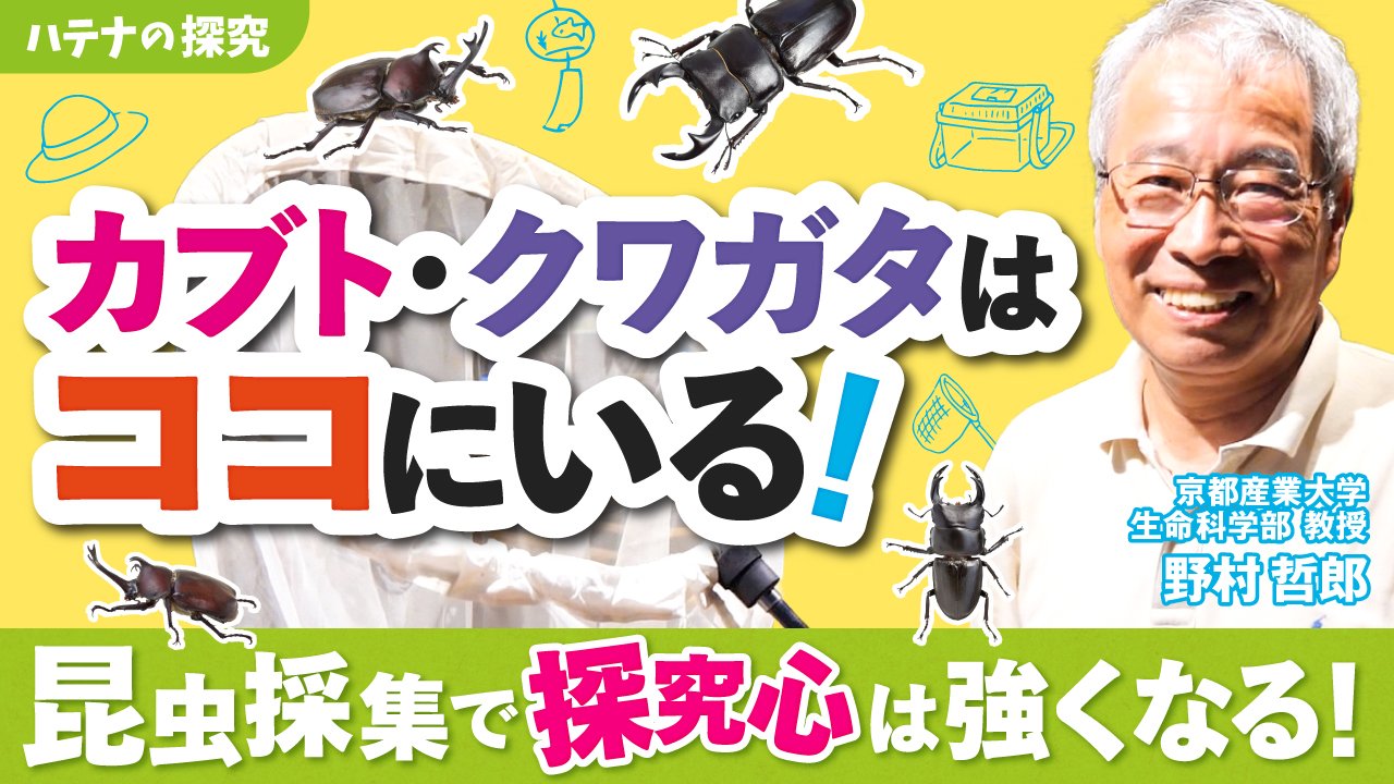 【昆虫採集】採れる場所や便利なアイテム紹介！地球環境も学べます！