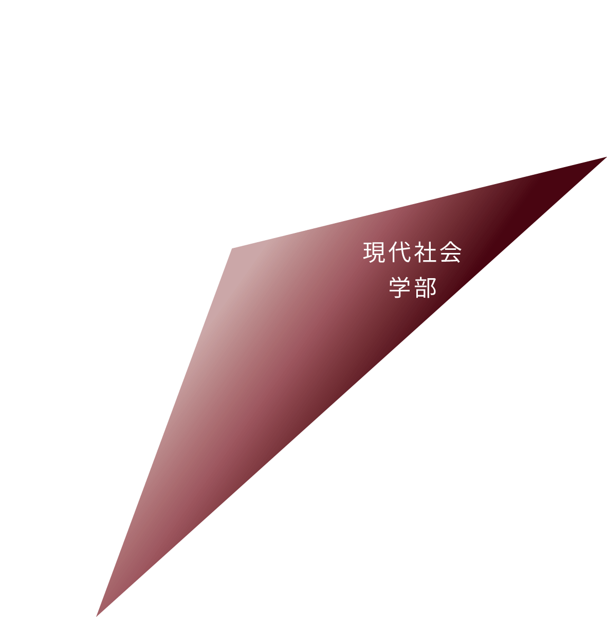 現代社会学部