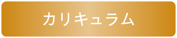 カリキュラム