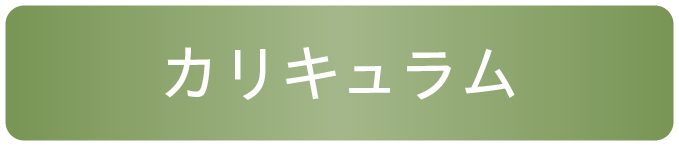 カリキュラム