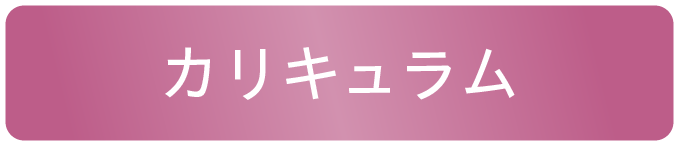 カリキュラム