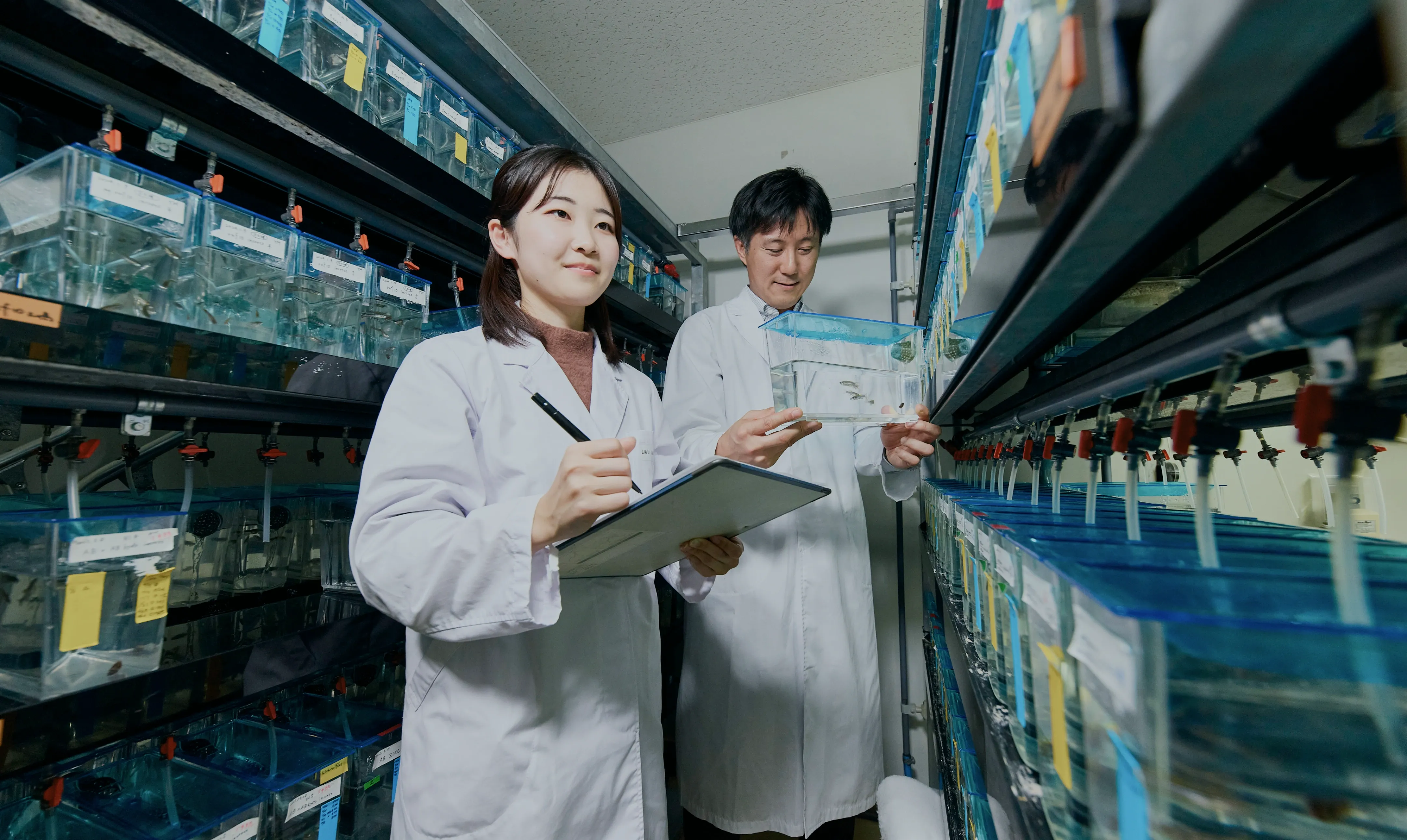 コンセプトイメージ