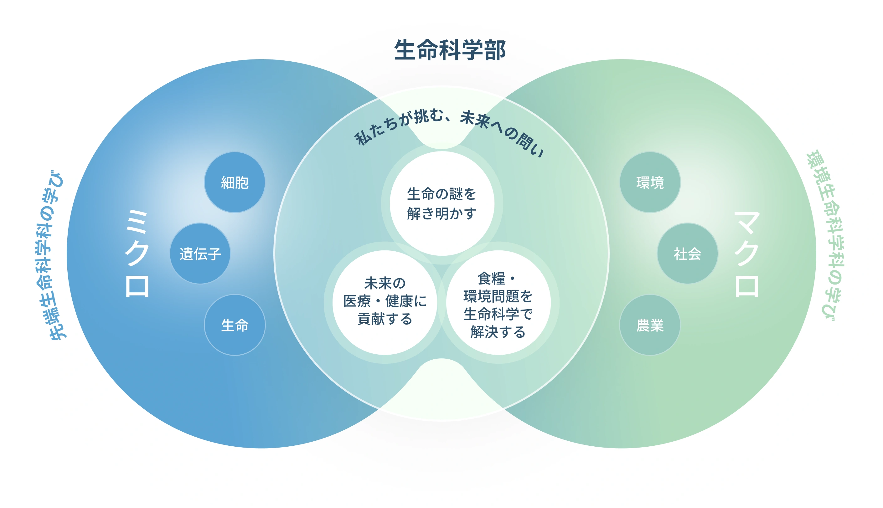 ミクロとマクロの最強タッグ 図版