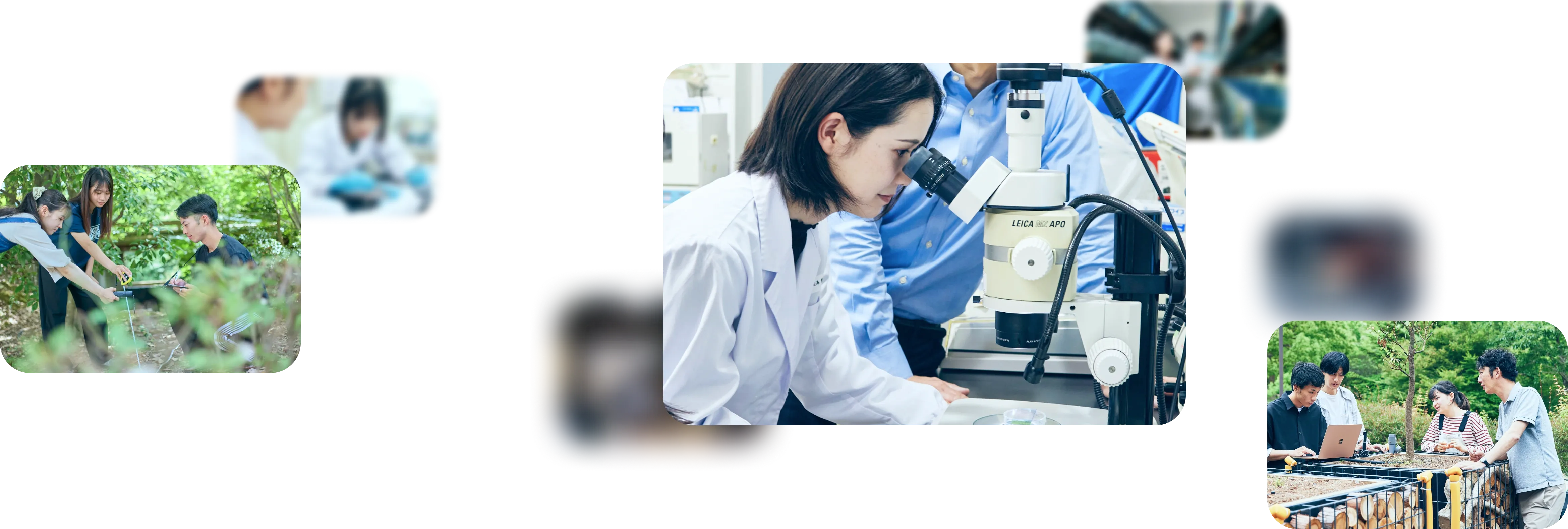 京都産業大学 特設サイト メインビジュアル