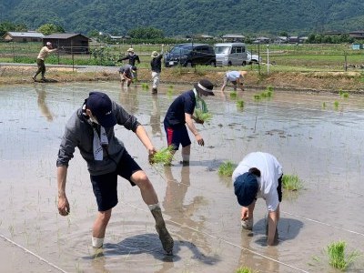 田んぼの整備