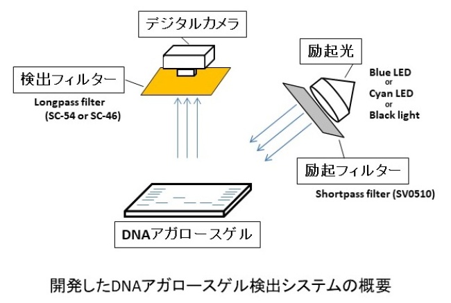 システムの概要図