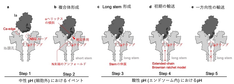 図5