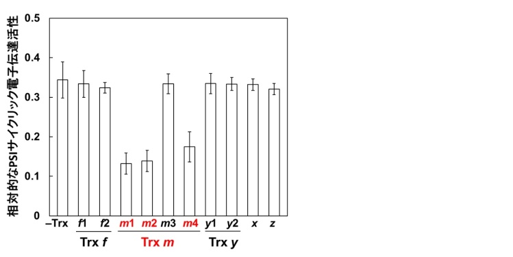図3. TrxによるPSIサイクリック電子伝達活性の抑制