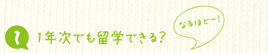 1年次でも留学できる?