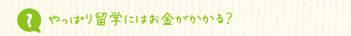1年次でも留学できる?