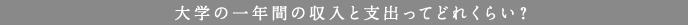 大学の一年間の収入と支出ってどれくらい?