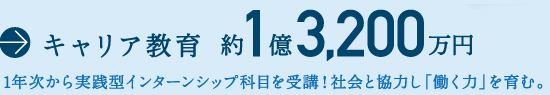 キャリア教育 約1億3,200万円 1年次から実践型インターンシップ科目を受講!社会と協力し「働く力」を育む。