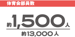 体育会部員数 約13000人分の約1500人
