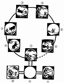 総合学術研究所共催研究会(第6回)