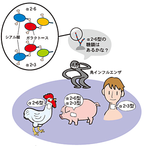紙キレ1枚で!?有害微生物を識別 紙キレ1枚で!?有害微生物を識別