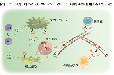 グラフ グラフ