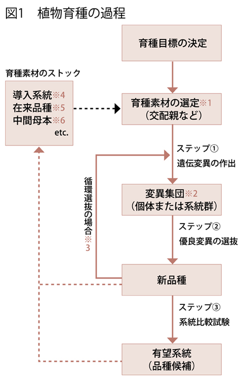 図1 図1