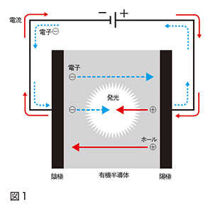 図1 図1