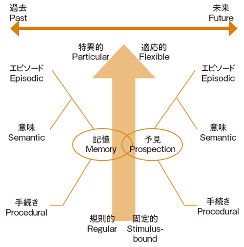 図 図
