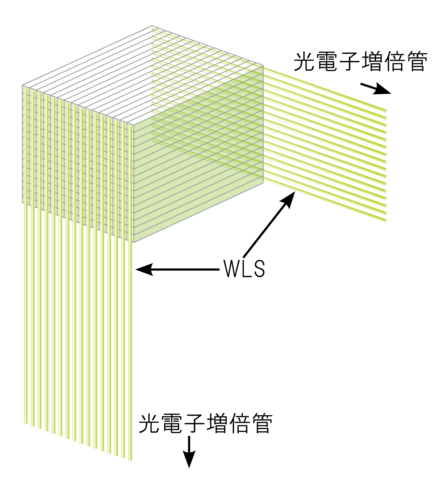 図1 図1