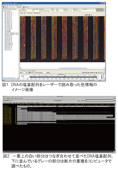 図1 図1