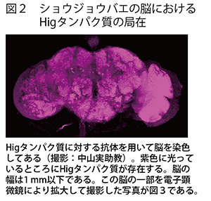 写真 写真