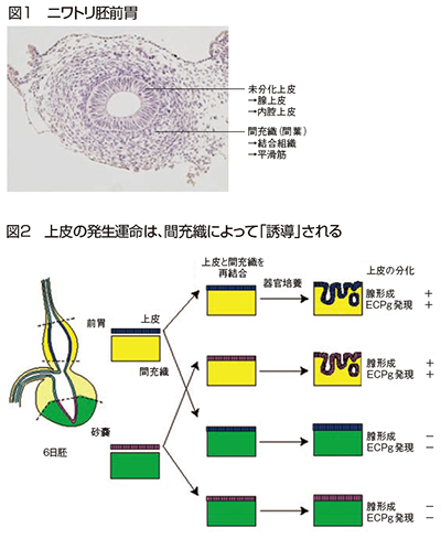 図1・2 図1・2