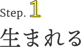 ステップ1. 生まれる