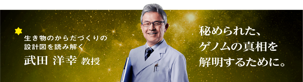 武田 洋幸 教授