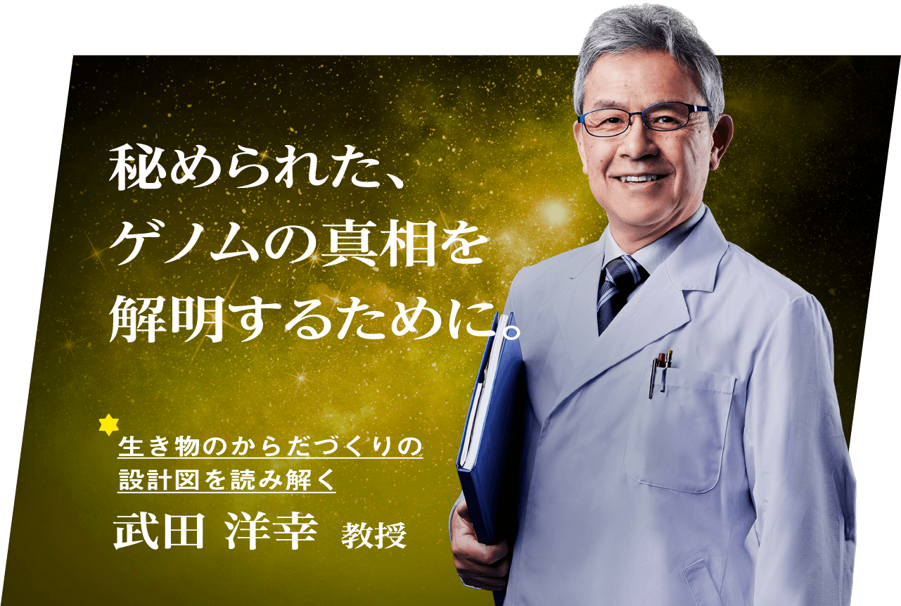 武田 洋幸 教授