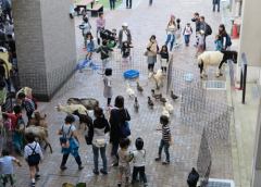 動物園