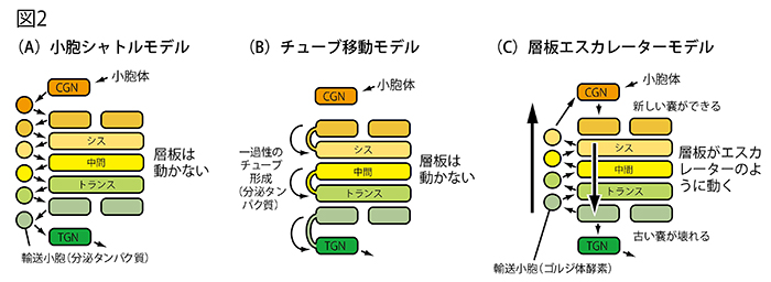 写真 写真